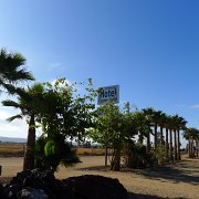 Baja2011 091 : Baja2011